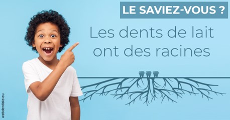 https://selarl-dr-jean-jacques-roux.chirurgiens-dentistes.fr/Les dents de lait 2