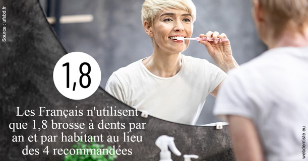 https://selarl-dr-jean-jacques-roux.chirurgiens-dentistes.fr/Français brosses 2