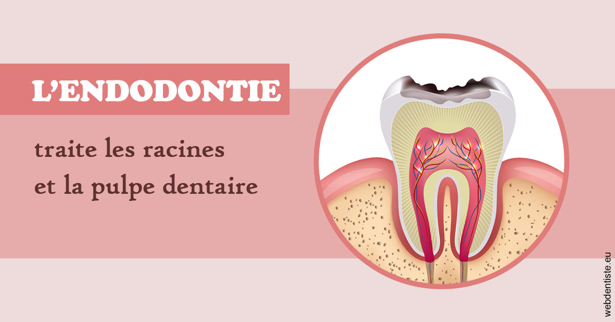 https://selarl-dr-jean-jacques-roux.chirurgiens-dentistes.fr/L'endodontie 2