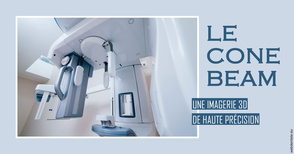 https://selarl-dr-jean-jacques-roux.chirurgiens-dentistes.fr/T2 2023 - Cone Beam 2