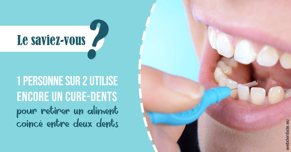 https://selarl-dr-jean-jacques-roux.chirurgiens-dentistes.fr/Cure-dents 1